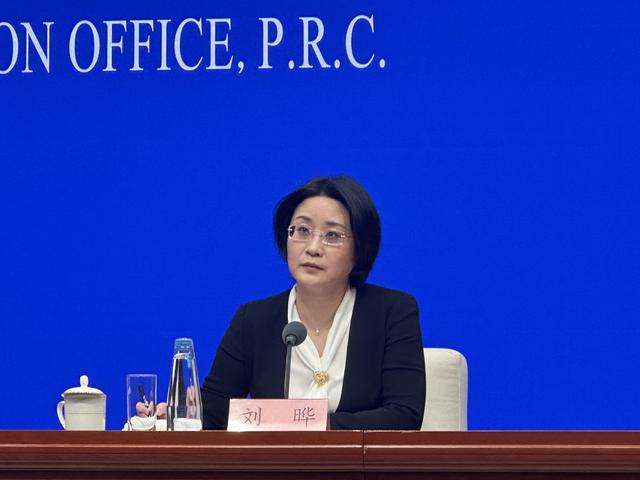 中国人民银行国际司负责人刘晔。澎湃新闻 滕晗 图