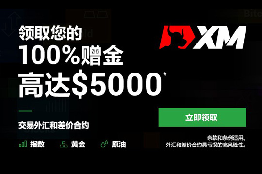 xm平台官方动态